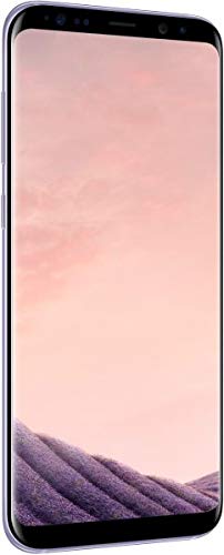 Samsung Galaxy S8+ Dual Sim - 64GB, 4G LTE, Orchid Gray